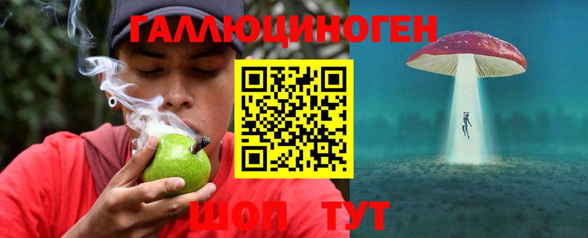 Галлюциногенные грибы MAGIC MUSHROOMS  Вход с VPN  Александров 
