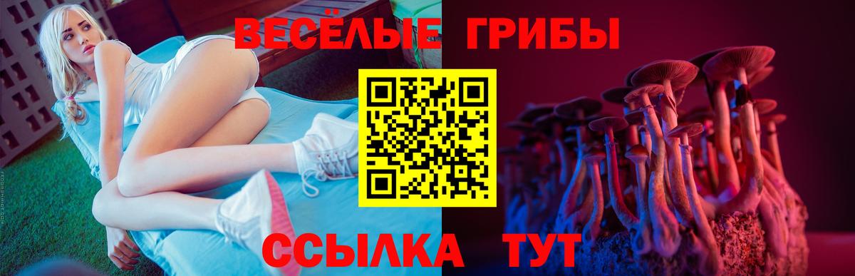 Галлюциногенные грибы Magic Shrooms Александров